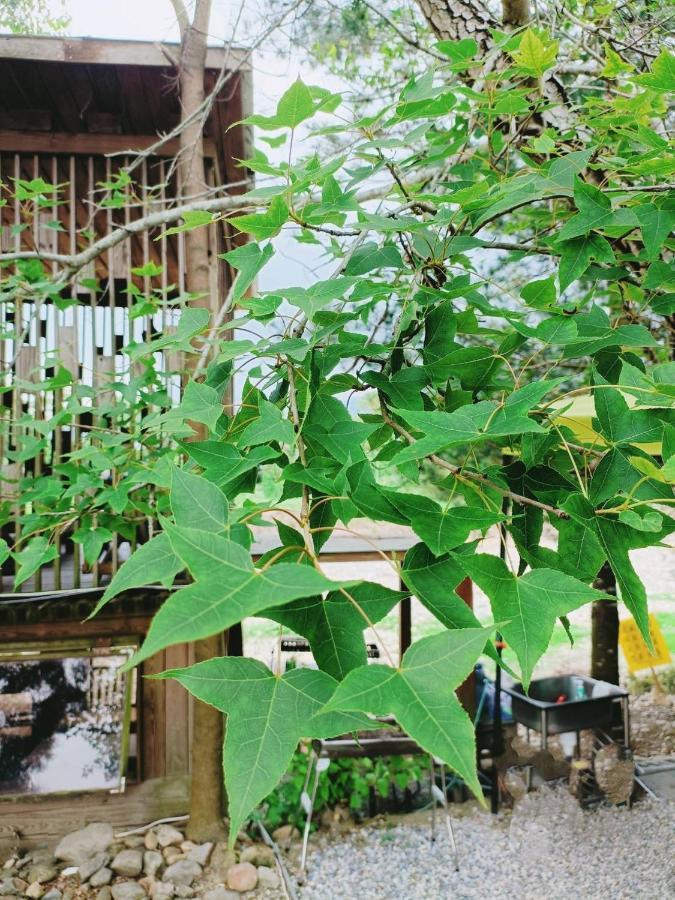 Fun星空謐境 埔里包棟民宿 烤肉麻將自然園區 エクステリア 写真